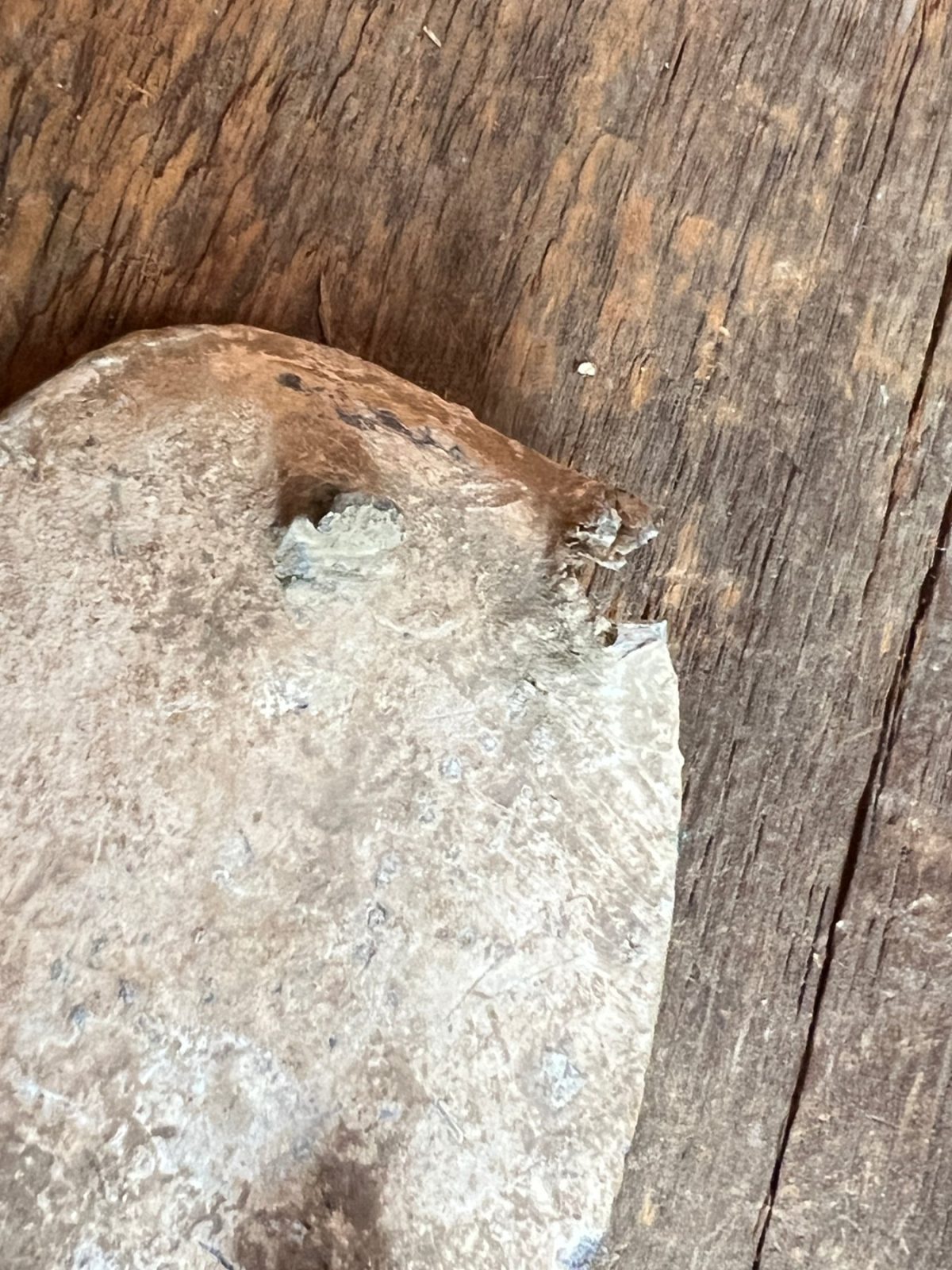 US Bullet Struck Original Buckle Recovered Kennesaw Mountain