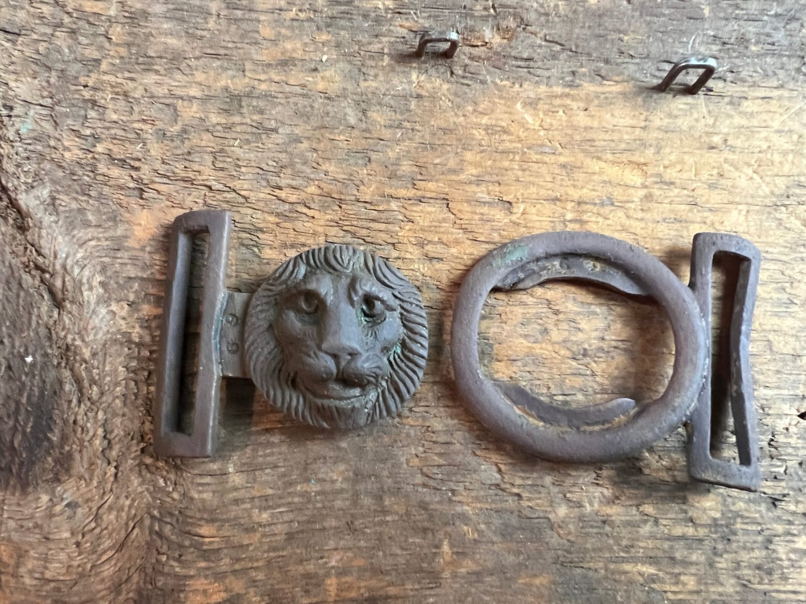 Dug Civil War Era Lions Head Two Piece Buckle
