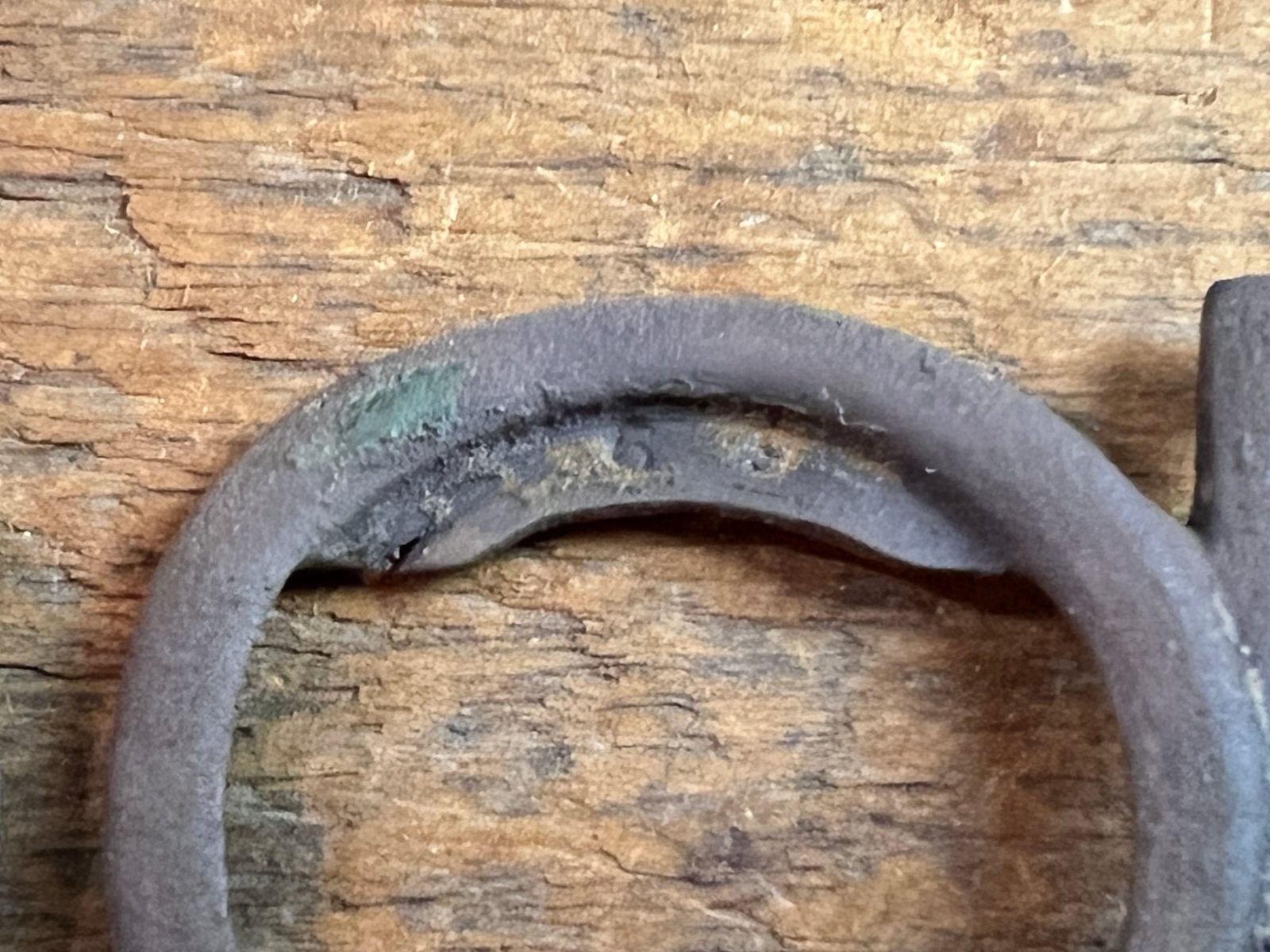 Dug Civil War Era Lions Head Two Piece Buckle