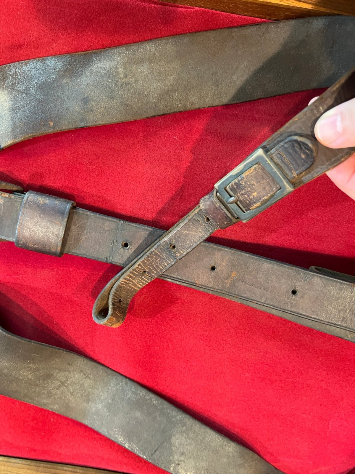 Civil War Pennsylvania Officer's Martingale and Harness