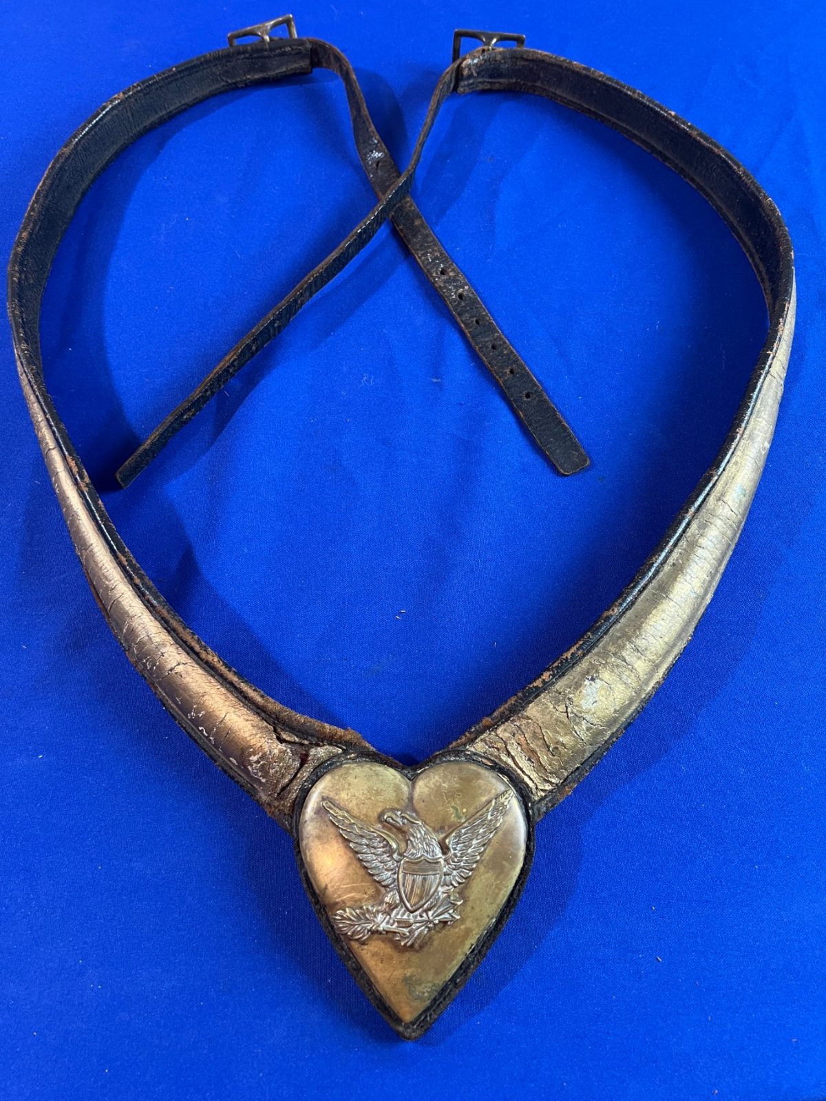 Civil War Cavalry Officer's Martingale Plate and Harness