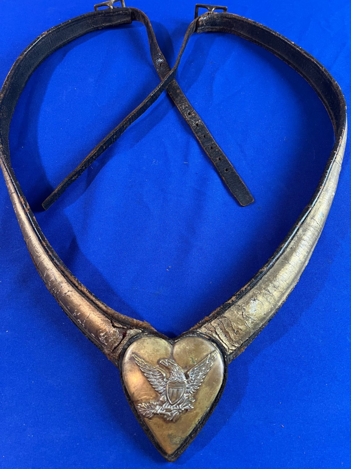 Civil War Cavalry Officer's Martingale Plate and Harness