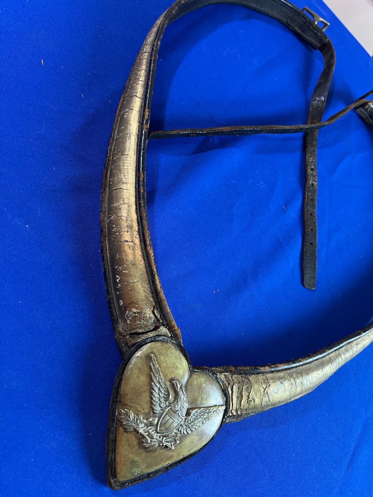 Civil War Cavalry Officer's Martingale Plate and Harness