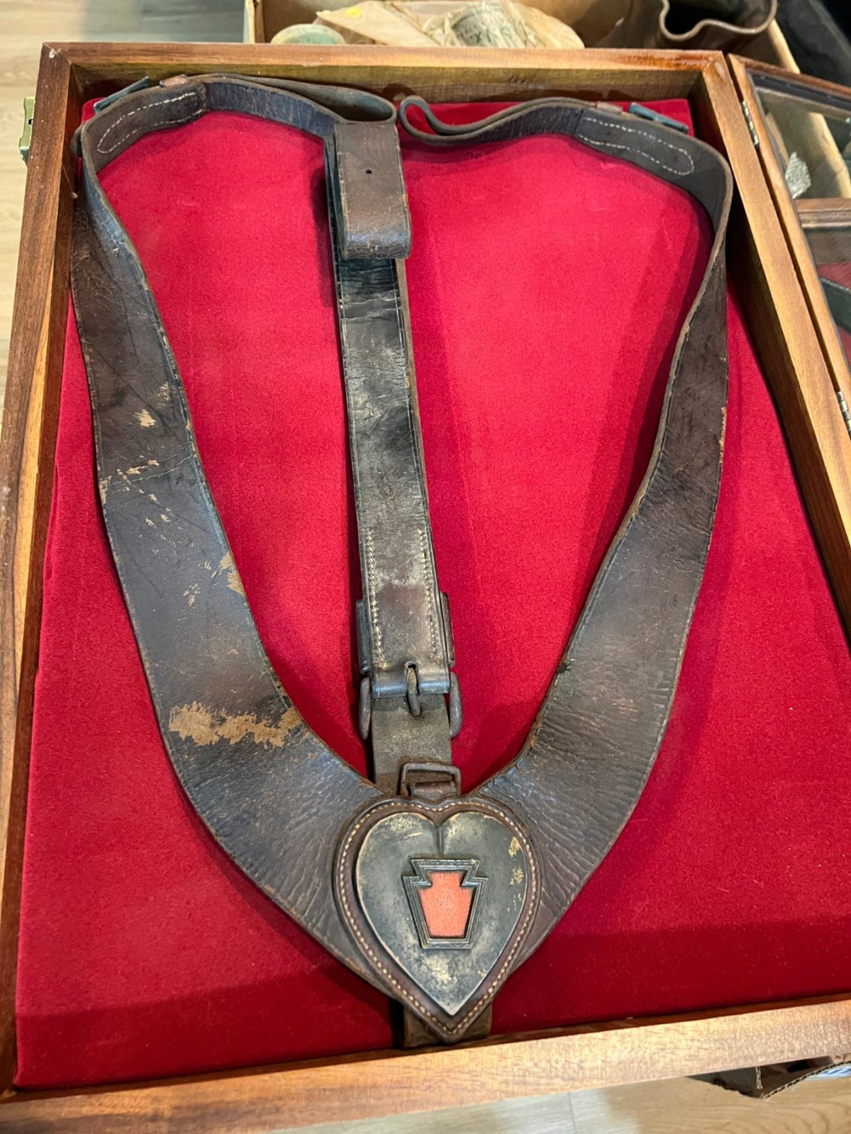 Civil War Pennsylvania Officer's Martingale and Harness