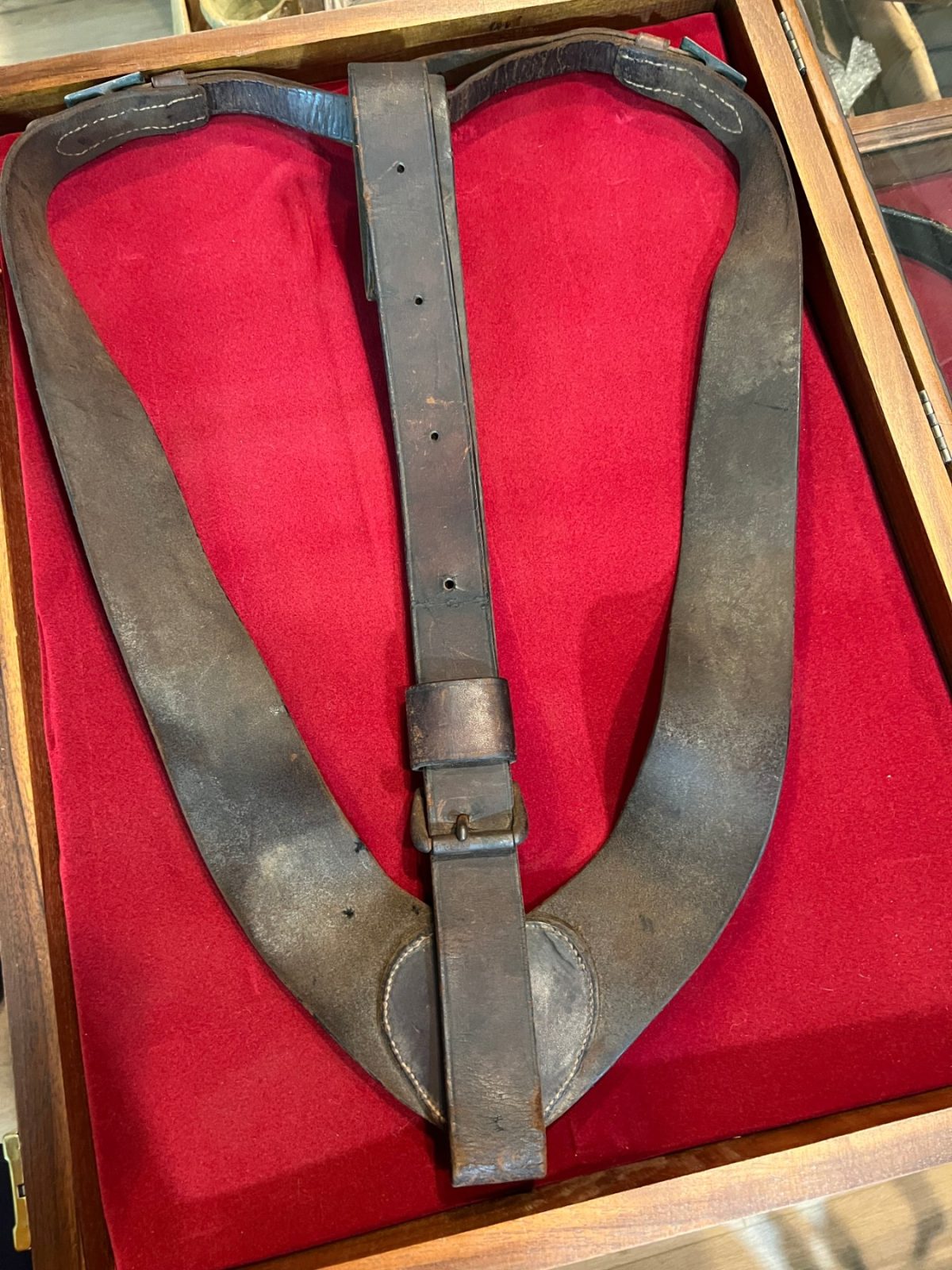 Civil War Pennsylvania Officer's Martingale and Harness