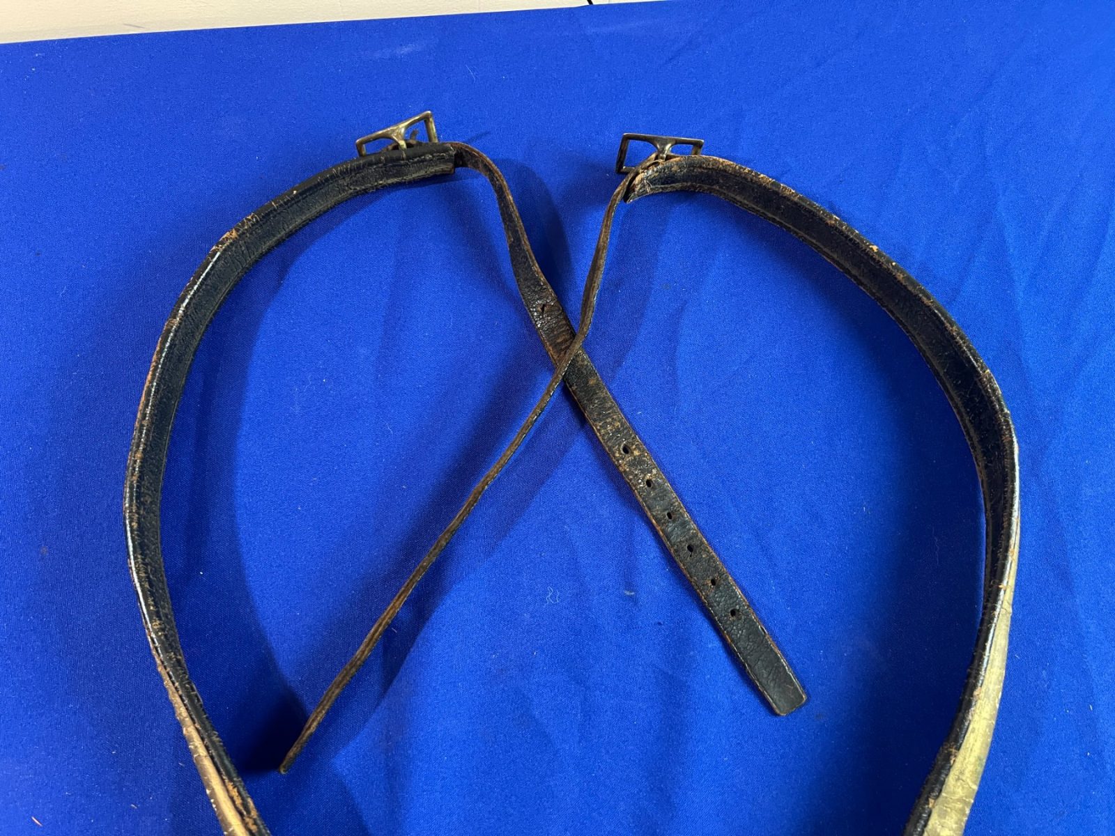 Civil War Cavalry Officer's Martingale Plate and Harness