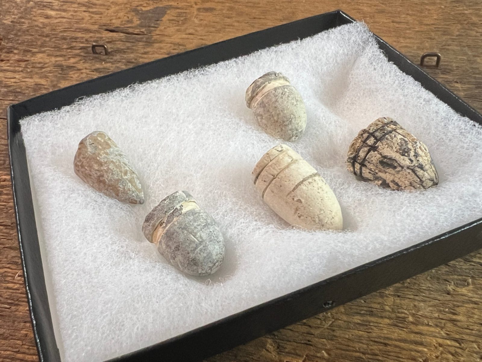 Dug Group of Confederate Bullets Out of Savannah GA