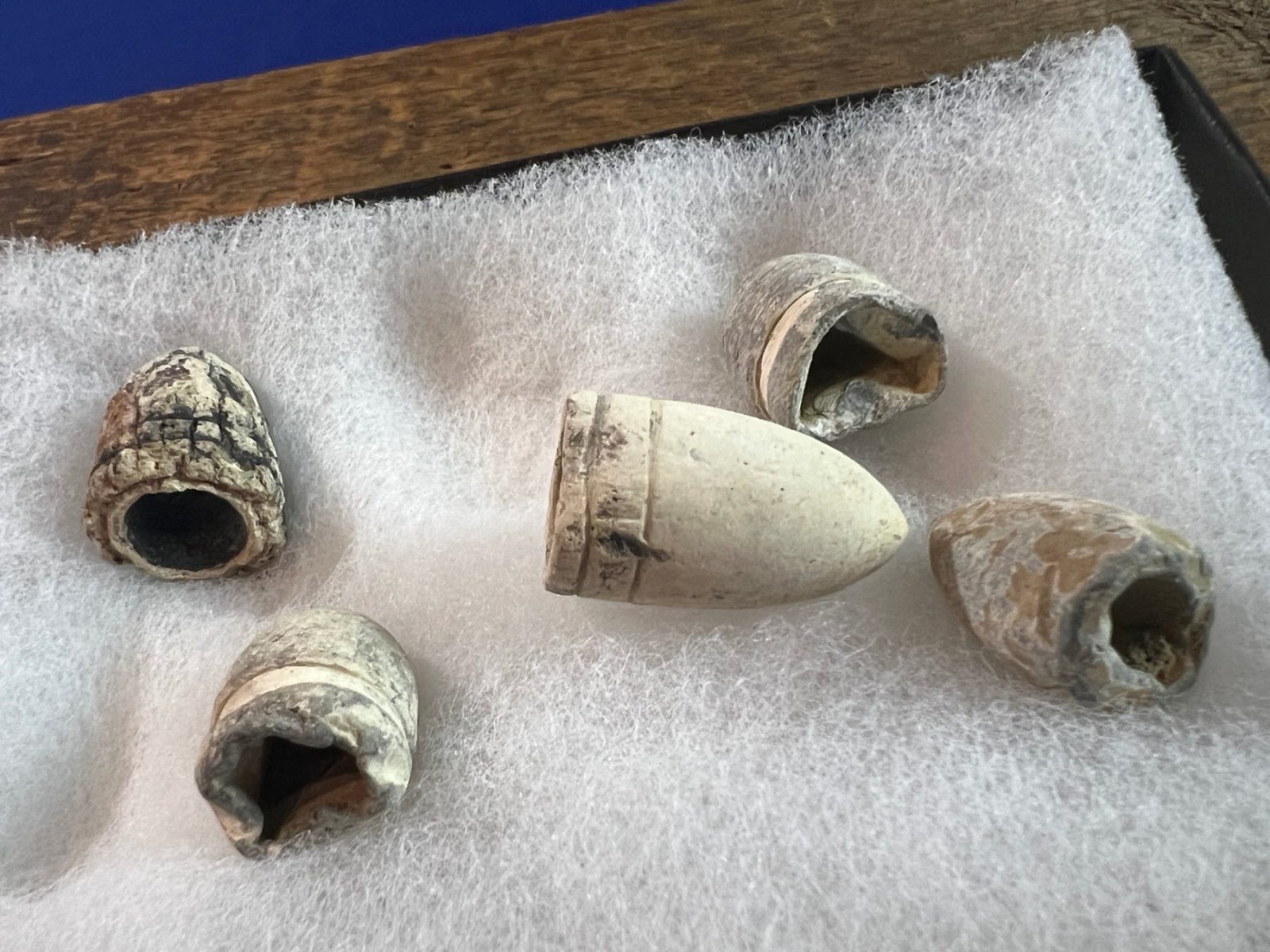Dug Group of Confederate Bullets Out of Savannah GA