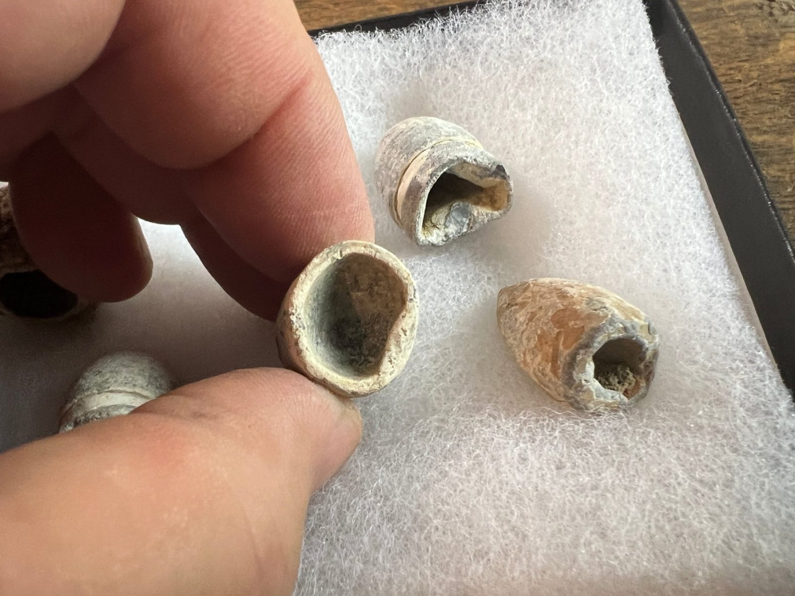 Dug Group of Confederate Bullets Out of Savannah GA