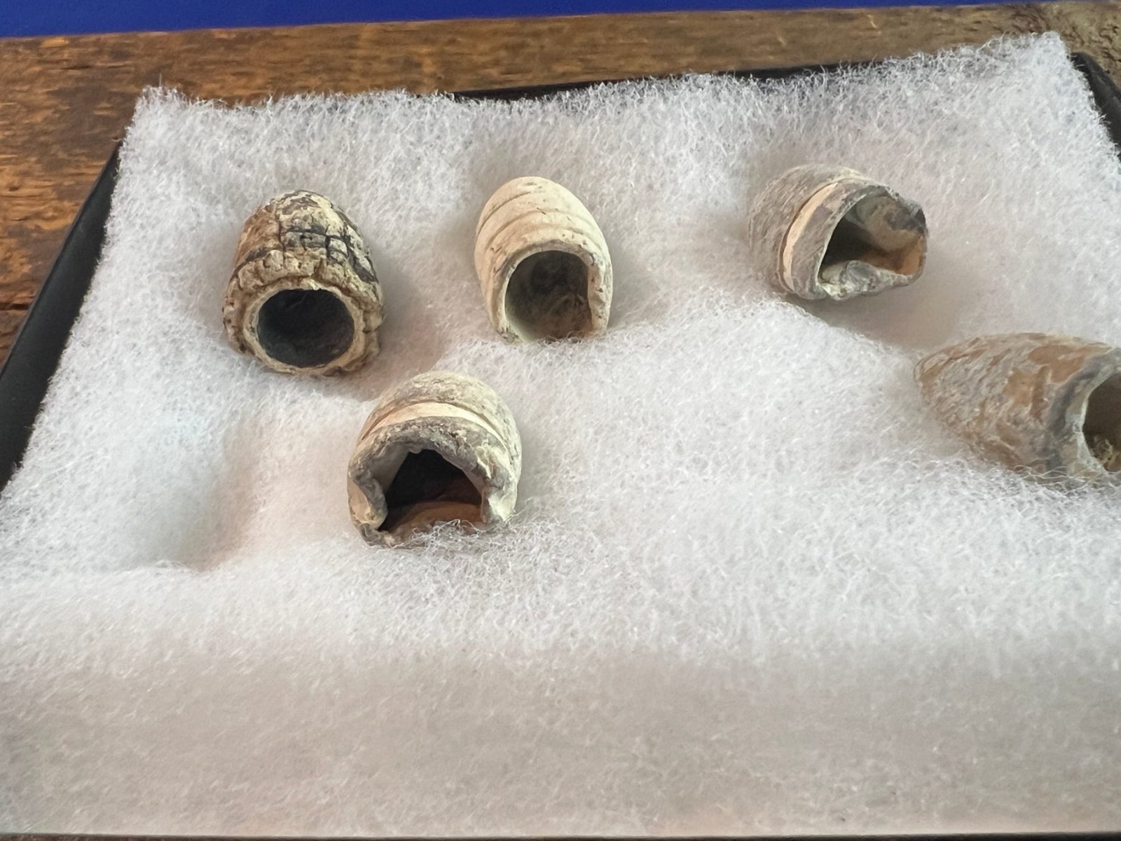 Dug Group of Confederate Bullets Out of Savannah GA