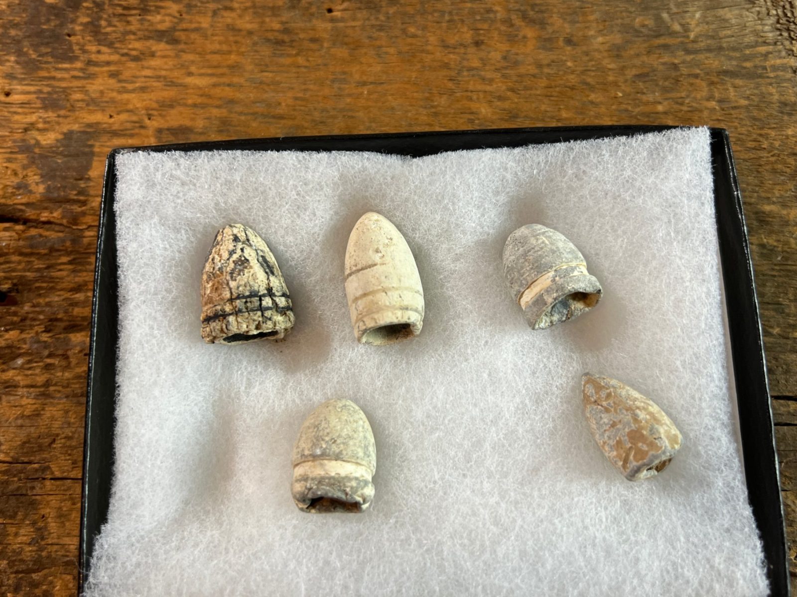 Dug Group of Confederate Bullets Out of Savannah GA