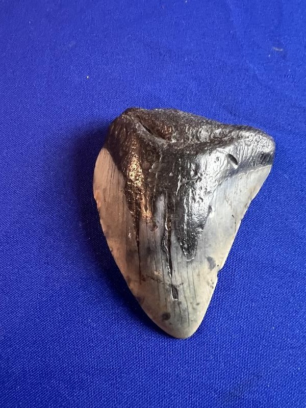 Click here to see the details of this item
