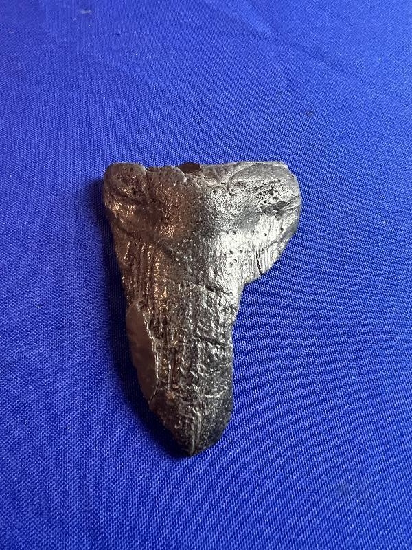 Click here to see the details of this item