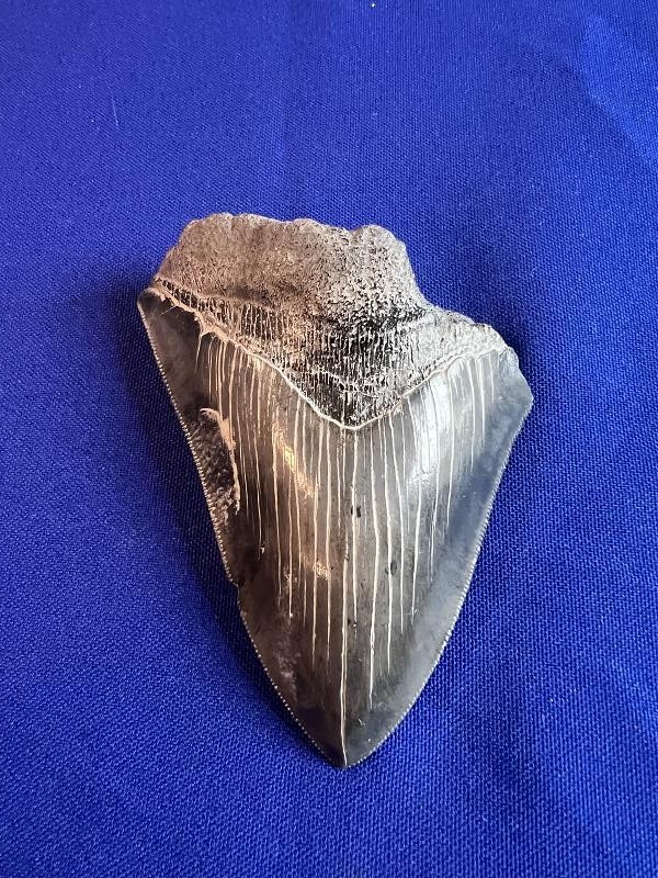 Click here to see the details of this item