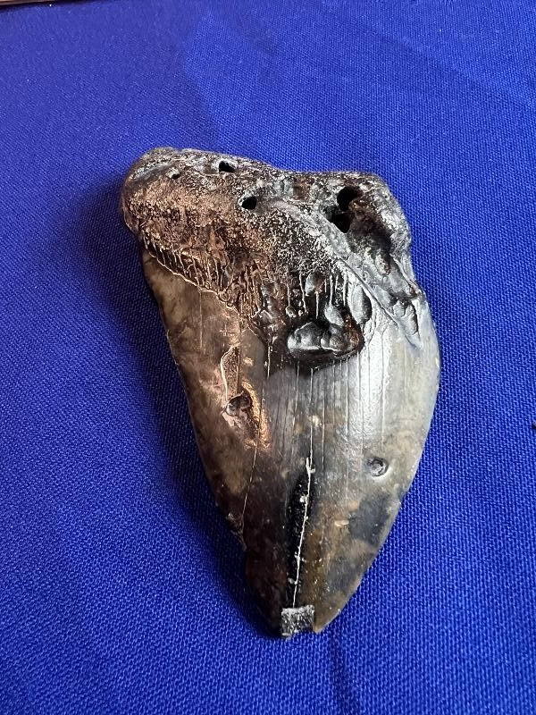 Click here to see the details of this item