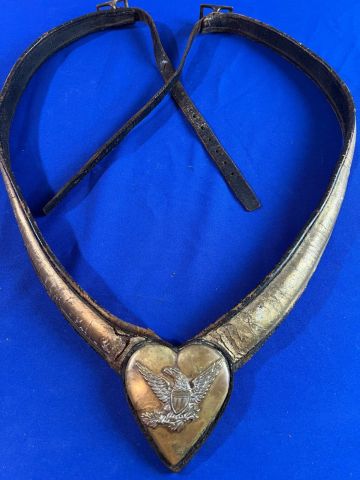 Civil War Cavalry Officer's Martingale Plate and Harness