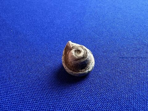 DUG CIVIL WAR CARVED LEAD NIPPLE PROTECTOR DALTON WINTER CAMP