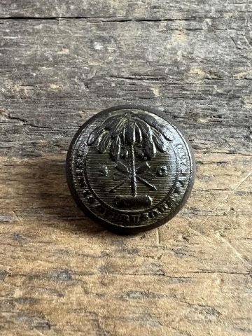 Confederate South Carolina State Seal Coat Button Horstmann Rays Bm Savannah Ga