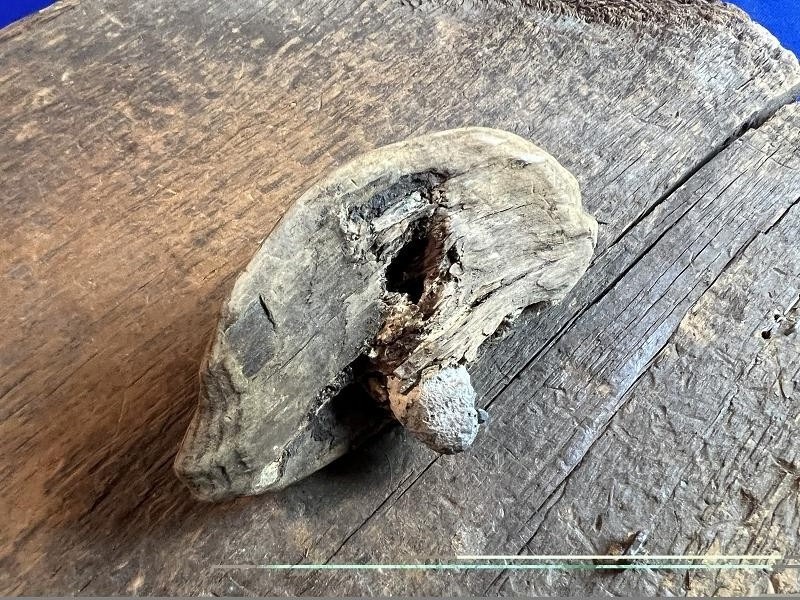 Civil War Relic 58 cal Bullet In Wood Bill Adams Collection