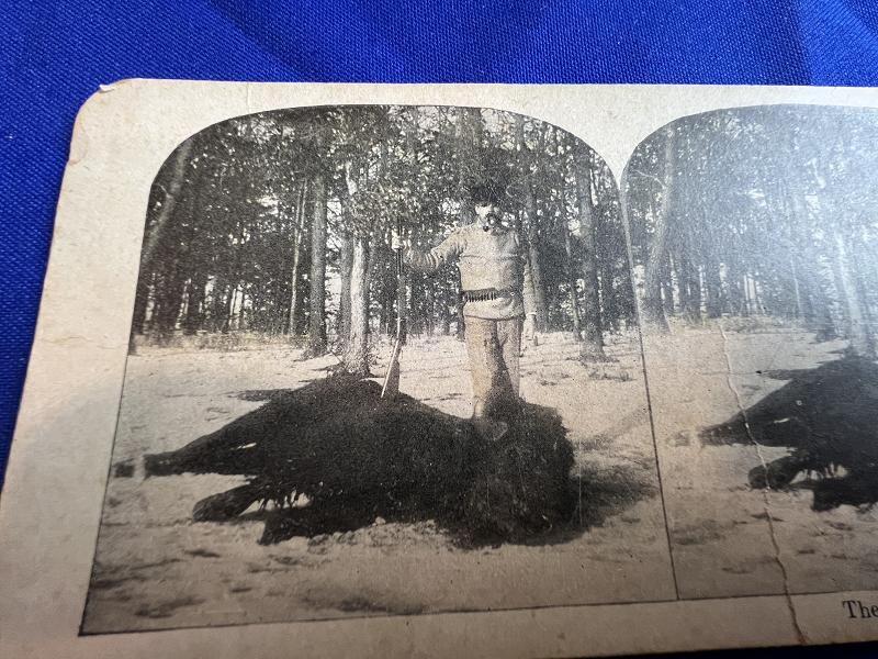 LAST BUFFALO STEREOVIEW CARD PHOTO 1898