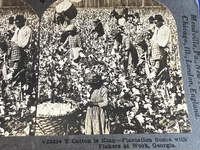 GEORGIA BLACK NEGRO GROUP STEREOVIEW CARD PHOTO PICKING COTTON