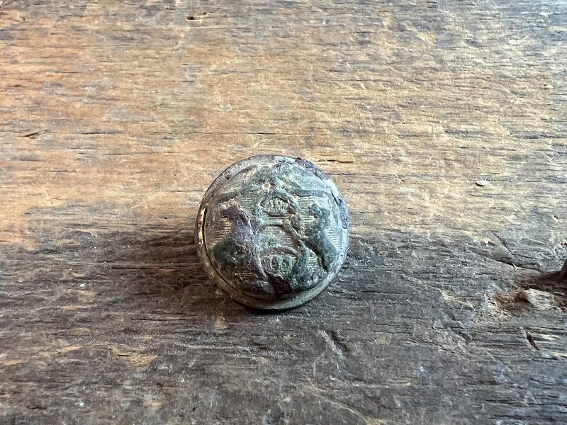 DUG CIVIL WAR MICHIGAN STATE OFFICERS COAT BUTTON