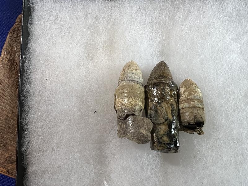 Three Dug Original Sharps .52 Cal Combustible Linen Cartridges